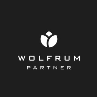 Dr. med. Fabian Wolfrum – Plastische & Ästhetische Chirurgie Logo