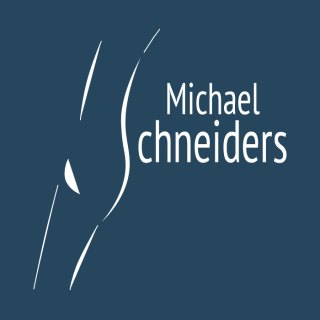 Praxis Dr. Michael Schneiders – Fachbereich Ästhetische Chirurgie Logo