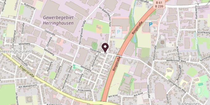 Karte: MEDICUS ZENTRUM Herford